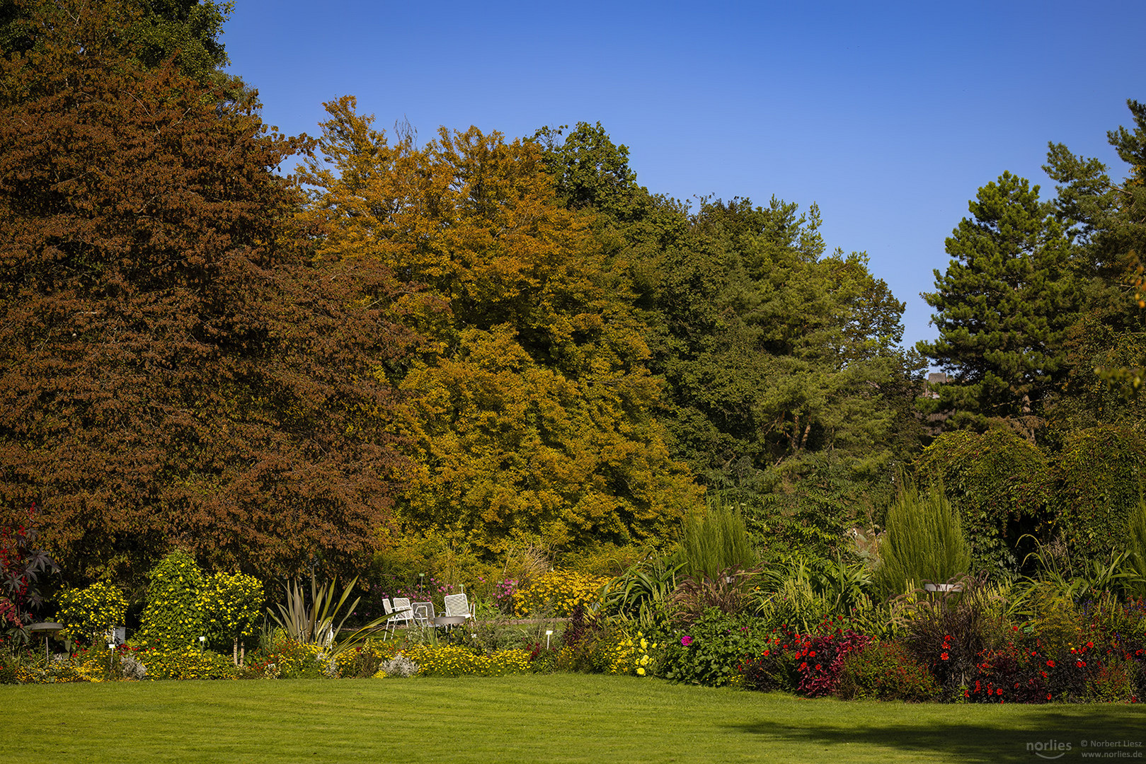 Herbst im Garten