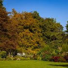 Herbst im Garten