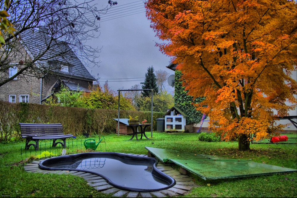 Herbst im Garten