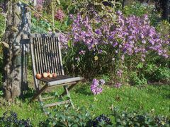 Herbst im Garten....