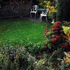 Herbst im Garten