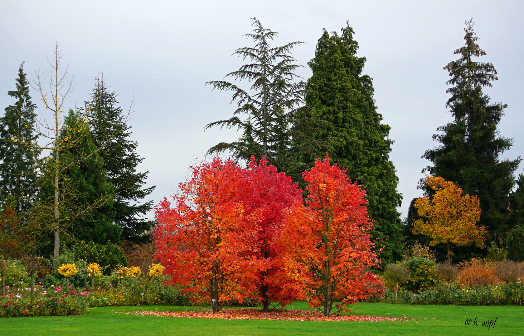 Herbst im Gartencenter