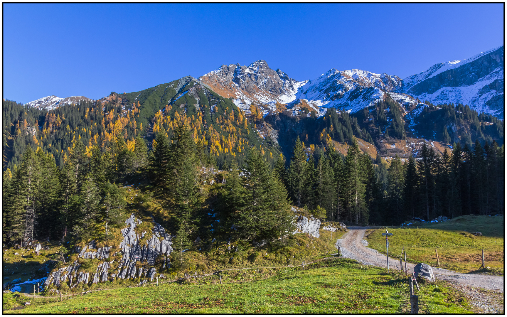 Herbst im Gauertal