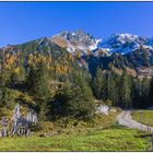 Herbst im Gauertal