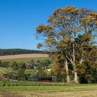 Herbst im Gebirge