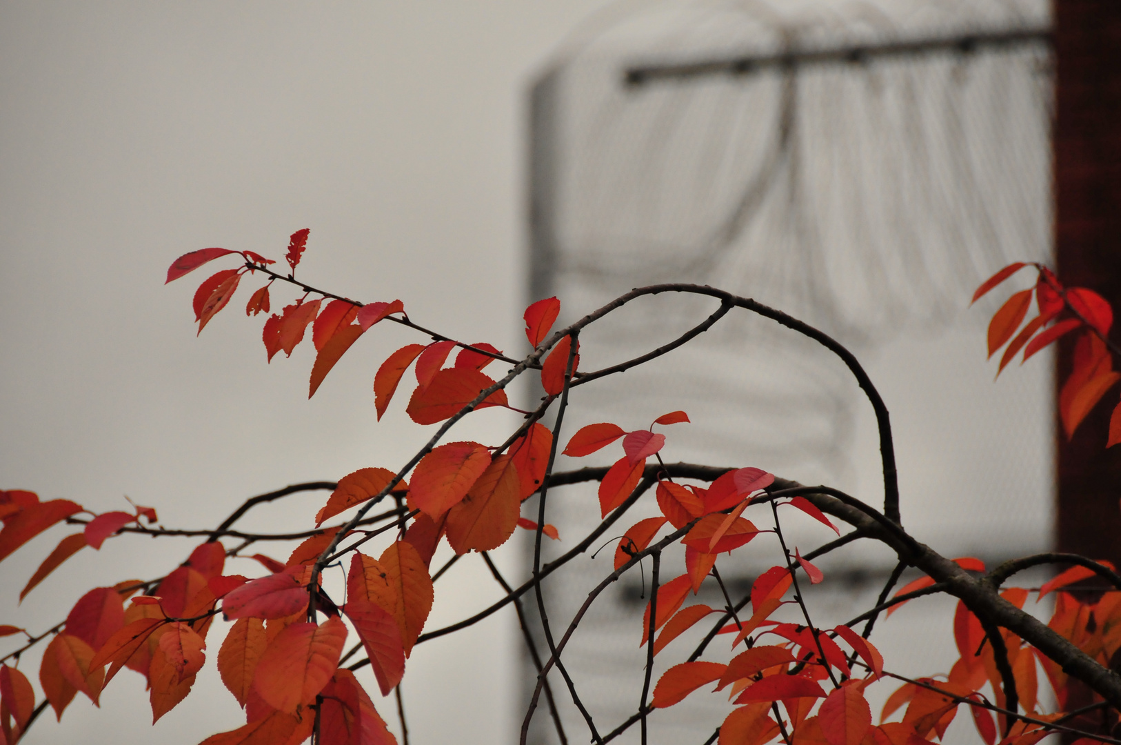 Herbst im Gefängnis