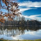 Herbst im Gegenlicht