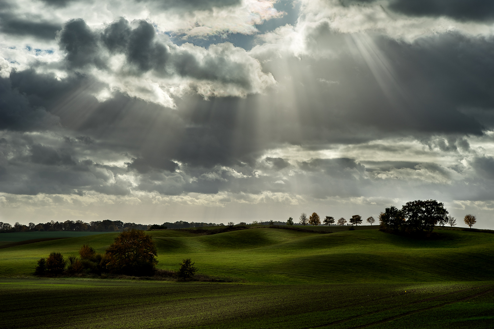 Herbst im Gegenlicht