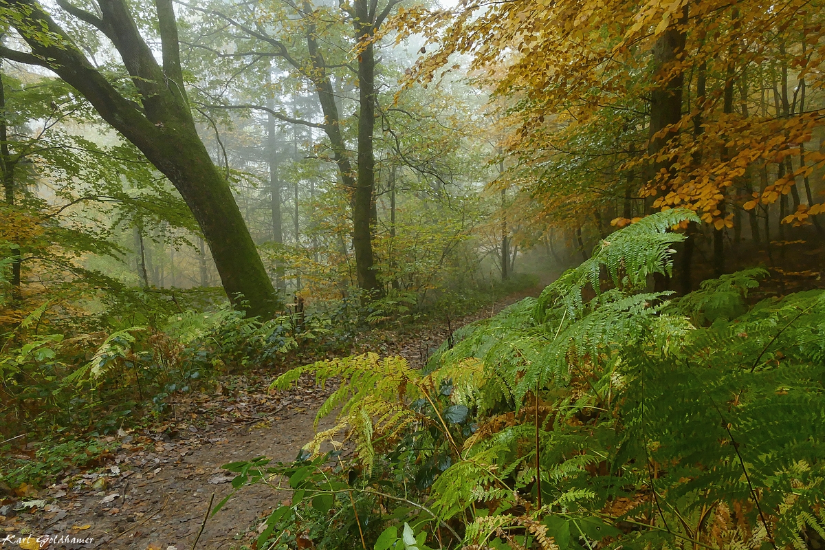 Herbst im Gehege Silberbergen