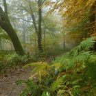 Herbst im Gehege Silberbergen