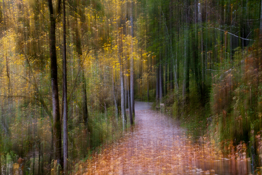 Herbst im Geisterwald