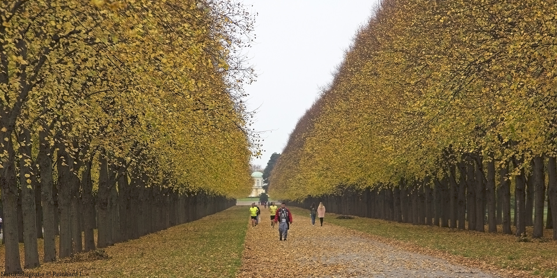 Herbst im Georgengarten 2