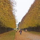 Herbst im Georgengarten 2