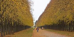 Herbst im Georgengarten 2