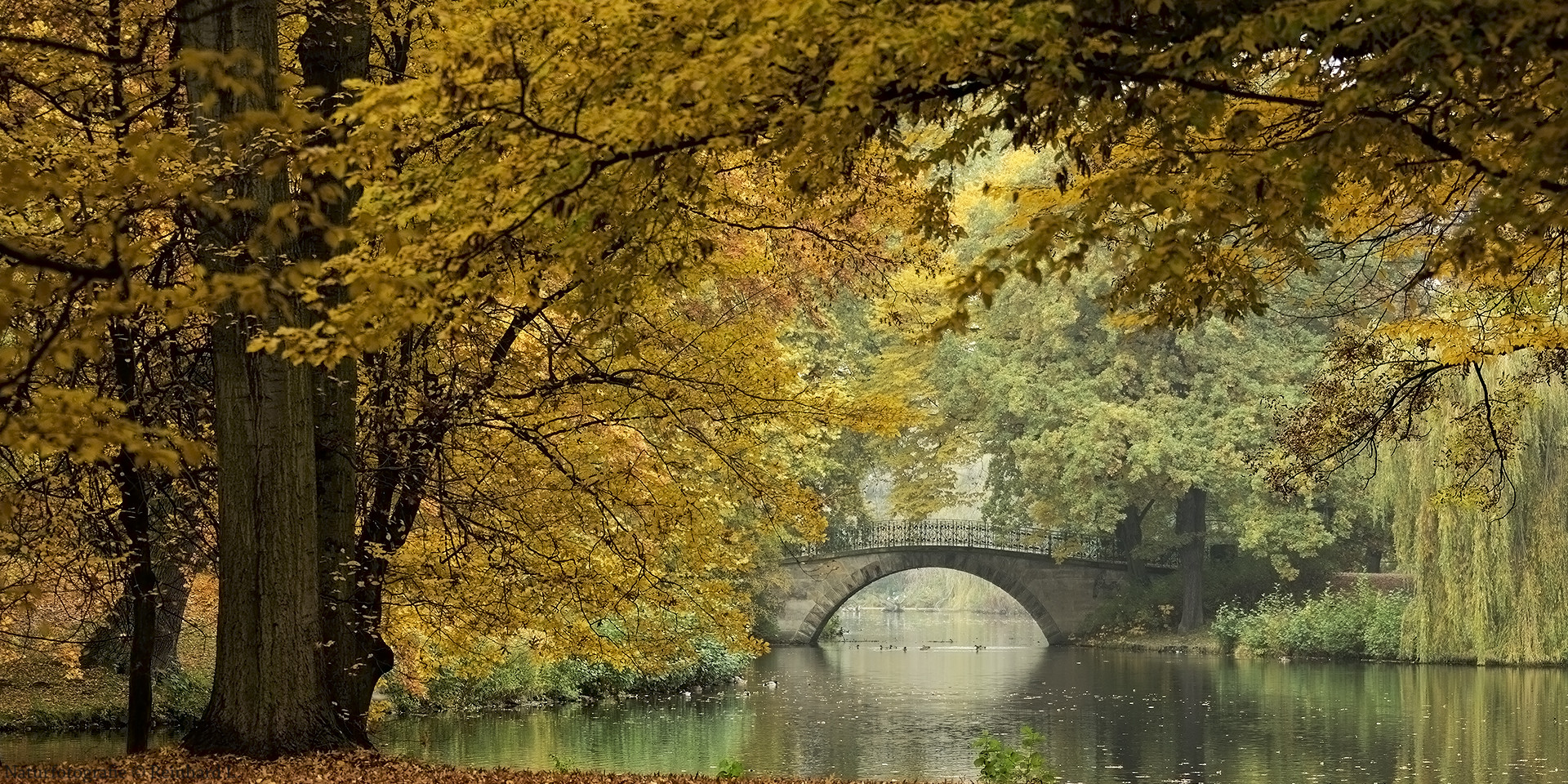   Herbst im Georgengarten