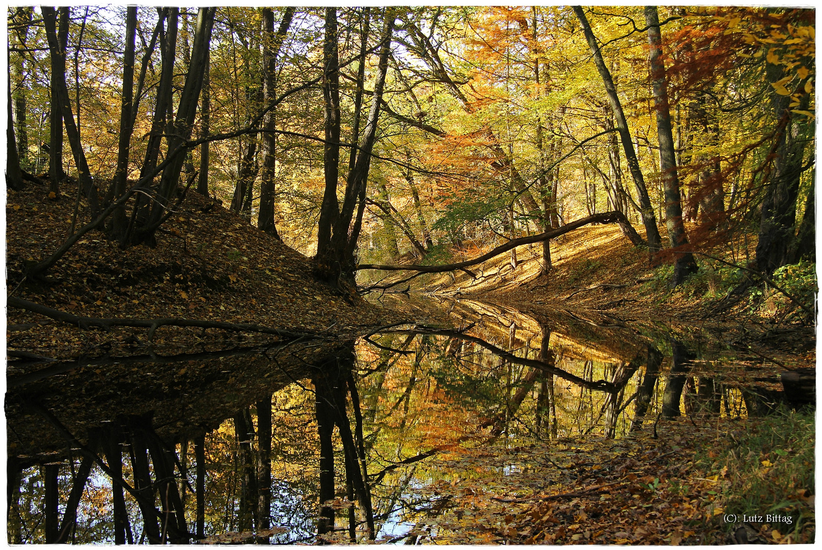 Herbst im Georgium Dessau