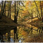 Herbst im Georgium Dessau