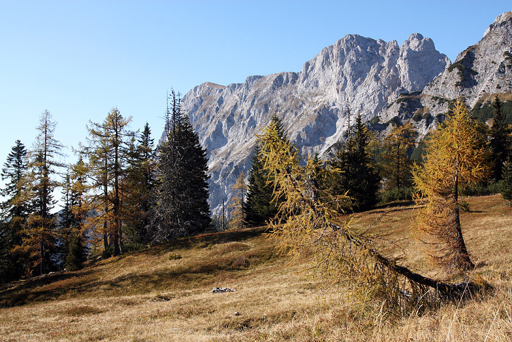 herbst im gesäuse