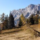 herbst im gesäuse