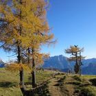 Herbst im Gesäuse