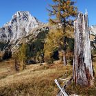 herbst im gesäuse II