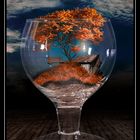 herbst im glas