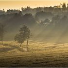 Herbst im Glennetal