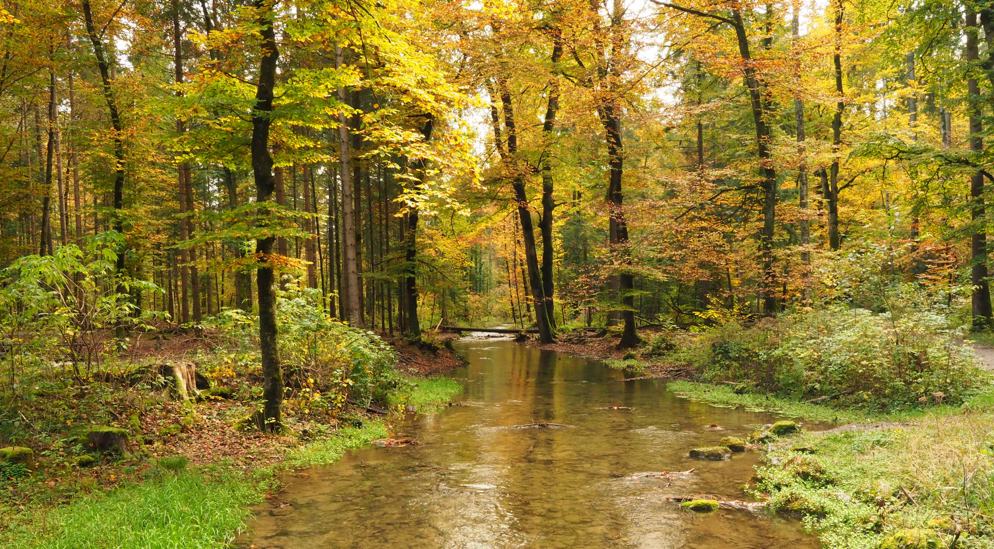 Herbst im Glütschbachtal beiThun