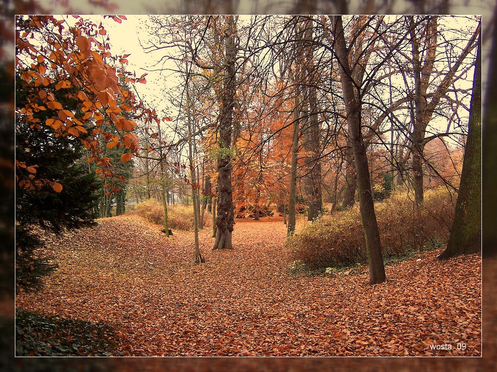 Herbst im Goethepark Cottbus