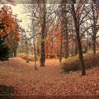 Herbst im Goethepark Cottbus