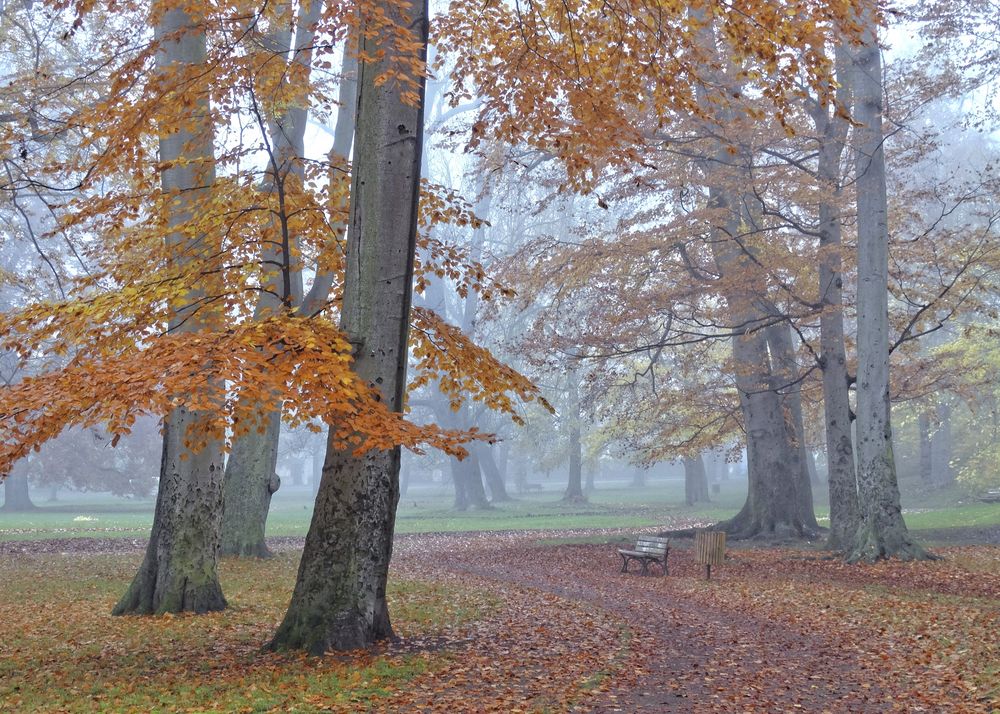 Herbst im Gothaer Schlosspark