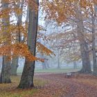 Herbst im Gothaer Schlosspark