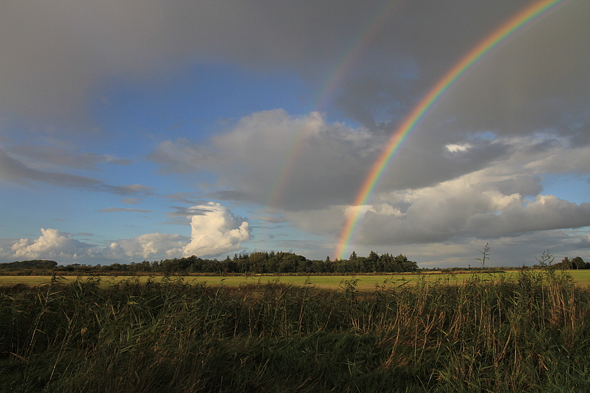 Herbst im Gotteskoog