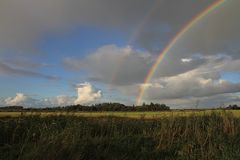 Herbst im Gotteskoog