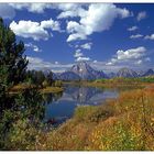 Herbst im Grand Teton