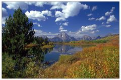 Herbst im Grand Teton