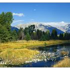 Herbst im Grand Teton II