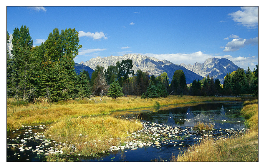 Herbst im Grand Teton II