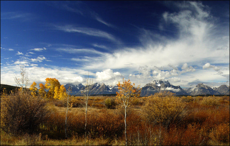 Herbst im Grand Teton National Park