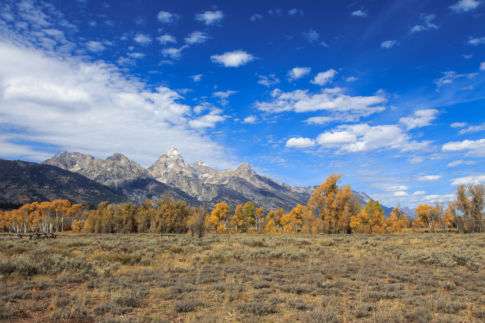 Herbst im Grand Teton Nationalpark