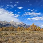 Herbst im Grand Teton Nationalpark