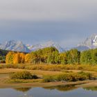 Herbst im Grand teton NP