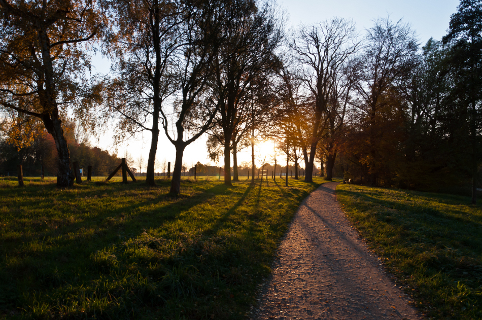 Herbst im Greiffenhorst