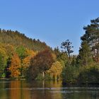 Herbst im Greizer Park - 1