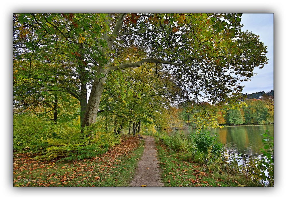 Herbst im Greizer Park - 11