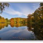 Herbst im Greizer Park - 12