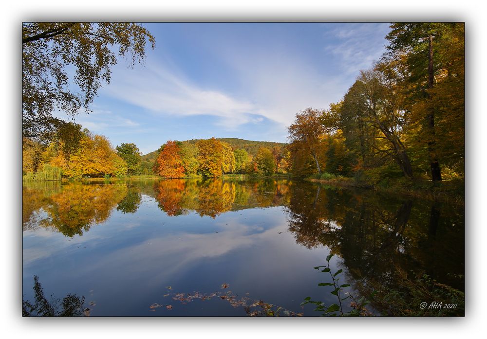 Herbst im Greizer Park - 12