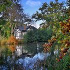 Herbst im Greizer Park - 2