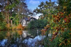 Herbst im Greizer Park - 2