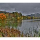 Herbst im Greizer Park - 4